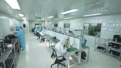 科技強國 創新在吉林發力，重點產業科技創新助推創新型省份建設